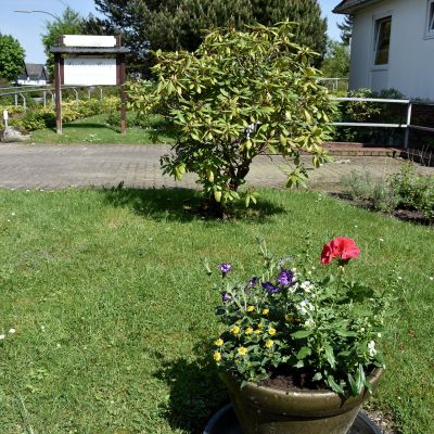 Ein grüner Garten mit einem blühenden Blumenstrauch im Vordergrund. Dahinter steht ein Wegweiser neben einem strauchigen Baum. Rechts ist ein Teil eines Hauses mit weißer Wand zu sehen. Der Himmel ist blau und klar.